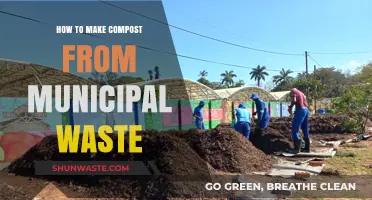 Transforming Municipal Waste into Nutrient-Rich Compost: A Sustainable Guide