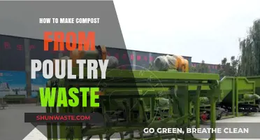 Transforming Poultry Waste into Nutrient-Rich Compost: A Step-by-Step Guide