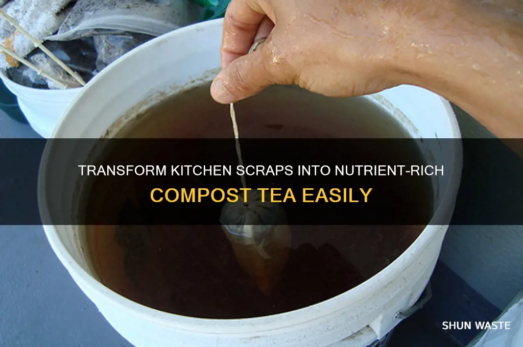 how to make compost tea from kitchen waste