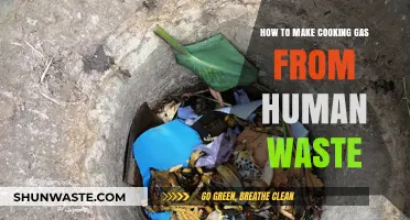 Transforming Human Waste into Cooking Gas: A Sustainable Energy Solution