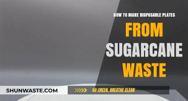 Eco-Friendly Tableware: Crafting Disposable Plates from Sugarcane Waste