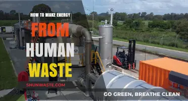 Turning Human Waste into Clean Energy: Sustainable Solutions for a Greener Future