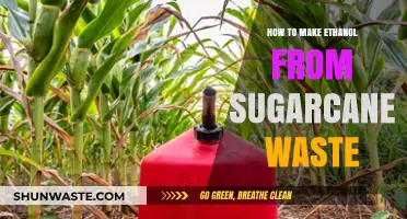 Transforming Sugarcane Waste into Ethanol: A Sustainable Biofuel Guide