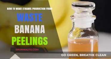 Turning Waste into Fuel: Ethanol Production from Banana Peelings
