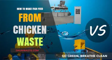 Sustainable Aquaculture: Transforming Chicken Waste into Nutritious Fish Feed