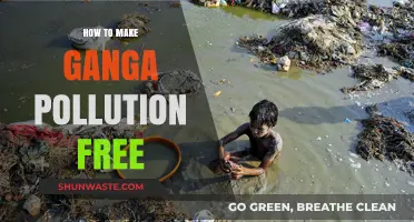 Ganga's Revival: Strategies for a Pollution-Free Future