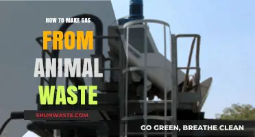 Transforming Animal Waste into Clean, Renewable Gas: A Step-by-Step Guide