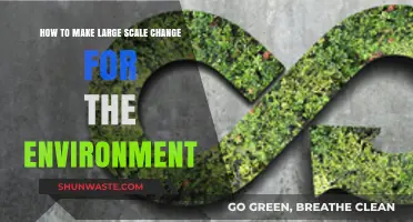 Transforming Our Planet: Strategies for Large-Scale Environmental Change