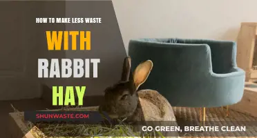 Eco-Friendly Bunny Care: Reducing Waste with Rabbit Hay Tips