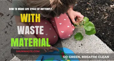 Crafting a Butterfly Life Cycle Using Recycled Waste Materials