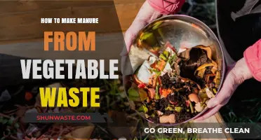 Transforming Vegetable Scraps into Nutrient-Rich Manure: A Simple Guide