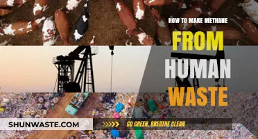 Transforming Human Waste into Methane: A Sustainable Energy Solution