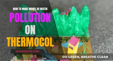 Crafting a Water Pollution Model: Thermocol Techniques