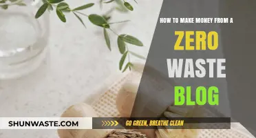 Profitable Zero Waste Blogging: Turning Eco-Friendly Tips into Income Streams