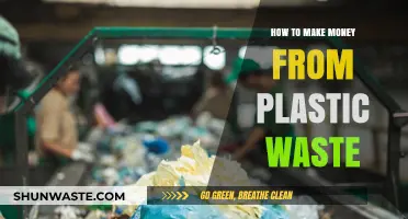 Profitable Recycling: Turning Plastic Waste into Cash Opportunities