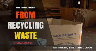 Turn Trash into Cash: Profitable Recycling Strategies for Waste Management
