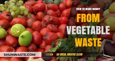 Turn Vegetable Scraps into Profits: Creative Ways to Earn from Waste