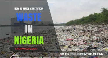Turning Trash to Cash: Profitable Waste Recycling Strategies in Nigeria