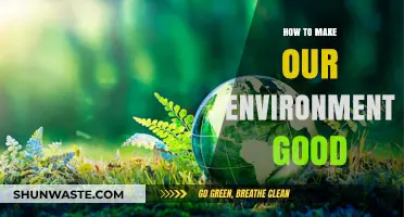 Sustainable Living: Simple Steps to Create a Healthier Environment