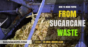 Eco-Friendly Crafting: Transforming Sugarcane Waste into Homemade Paper
