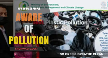 Spreading Awareness: Pollution's Impact, Everyone's Responsibility
