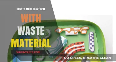 Crafting Plant Cells: Eco-Friendly DIY with Recycled Waste Materials