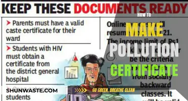 Get Your Pollution Certificate: A Step-by-Step Guide