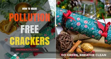 Green Crackers: Making Fireworks Pollution-Free