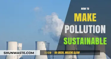 Green Solutions to Pollution: Making Sustainability Work