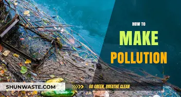 Creating Pollution: A Guide to Damaging Our Environment
