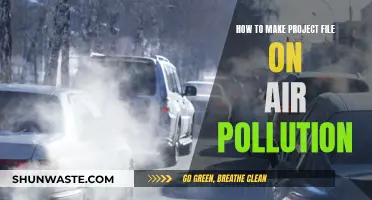 Air Pollution Project: A Step-by-Step Guide to Success