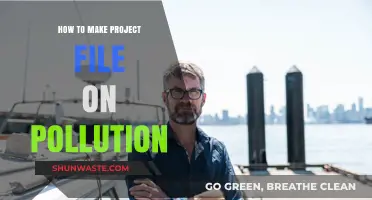 Understanding Pollution: A Comprehensive Project Guide