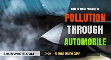 Pollution Through Automobiles: A Visual Project