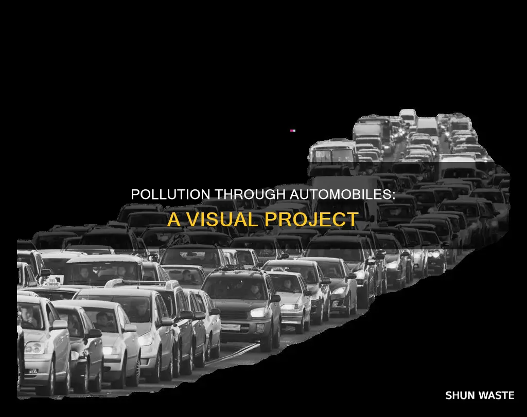 how to make project of pollution through automobile