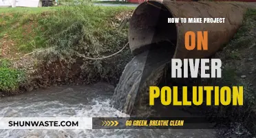 Addressing River Pollution: A Practical Guide to Project Success