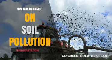 Understanding Soil Pollution: A Practical Project Guide