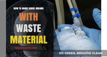 Transforming Waste into Sense Organs: Innovative Recycling for Bioengineering