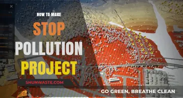 Stop Pollution: DIY Project Ideas for a Greener Tomorrow