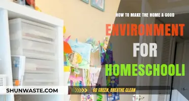Creating a Productive Homeschooling Haven: Tips for an Ideal Home Environment