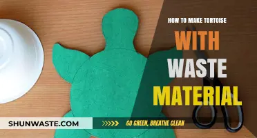 Creative DIY: Crafting a Tortoise Using Recycled Waste Materials