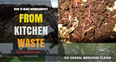 Transform Kitchen Scraps into Nutrient-Rich Vermicompost: A Simple Guide