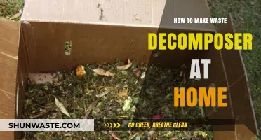DIY Waste Decomposer: Simple Steps for Eco-Friendly Home Composting