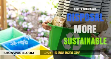 Eco-Friendly Waste Management: Tips for a Sustainable Future