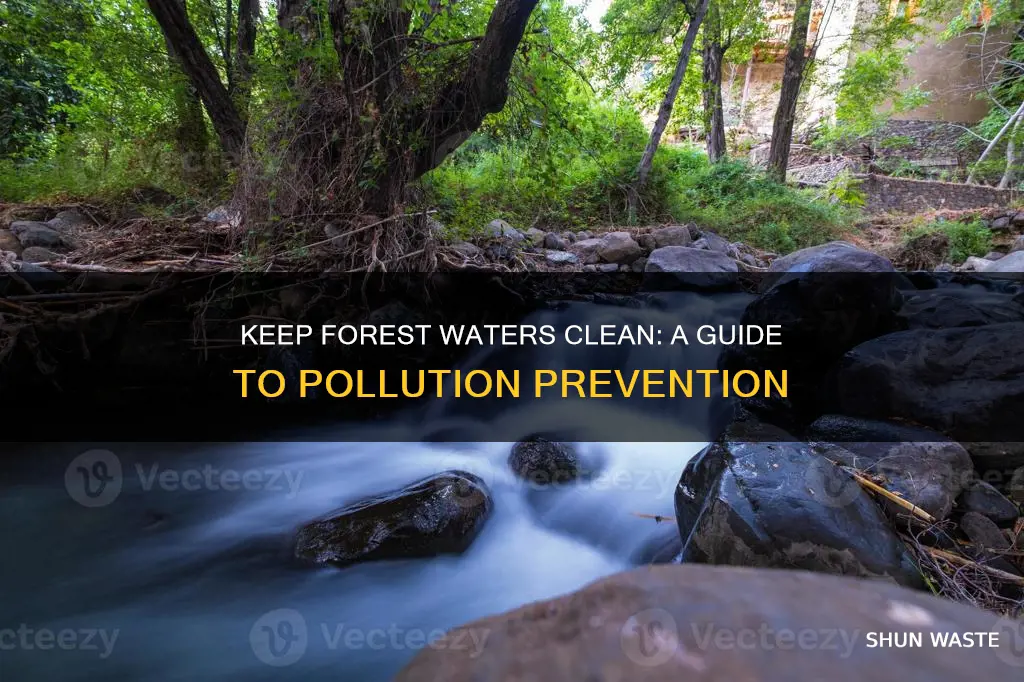 how to make water not polluted in the forest