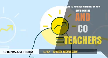 Navigating New Teaching Environments: Strategies for Adapting with Co-Teachers