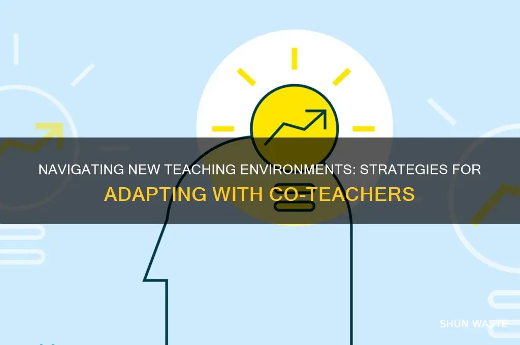 how to manage changes in new environment and co teachers