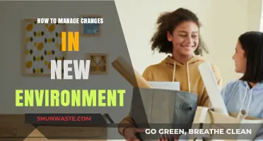 Navigating New Environments: Strategies for Managing Change Effectively