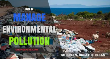 Green Strategies: Managing Environmental Pollution