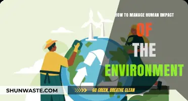 Sustainable Living: Strategies to Reduce Human Impact on the Environment