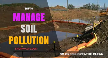 Soil Pollution: Strategies for Sustainable Soil Management